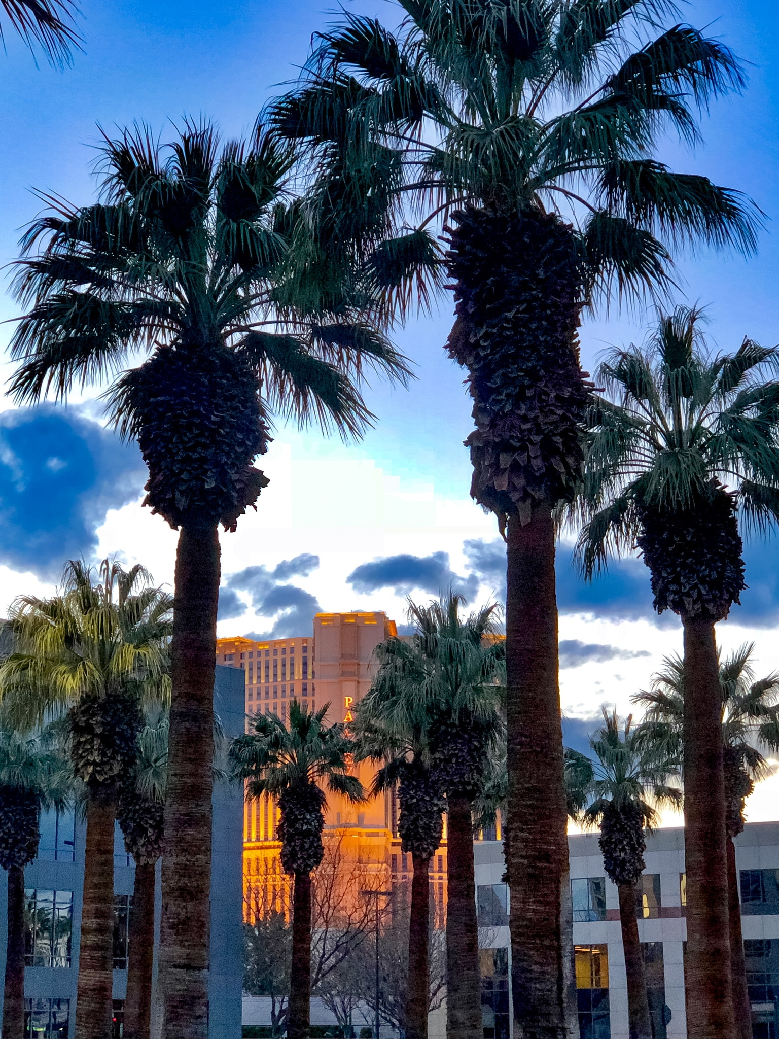 Palm trees framing The Mirage hotel at dusk, Las Vegas Nevada 2022