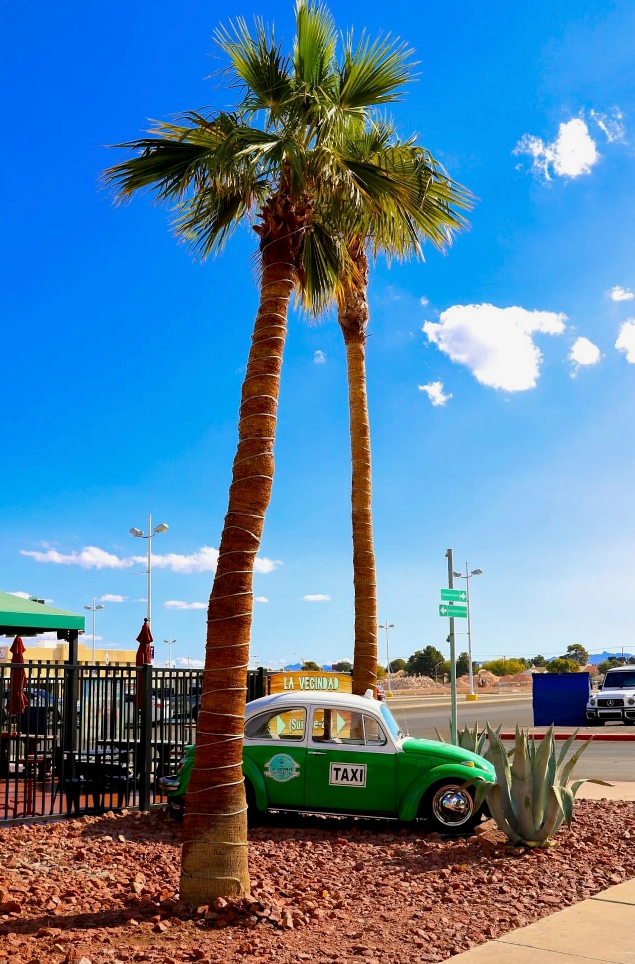 "Palmeras Y Un Taxi" — East Las Vegas 2024